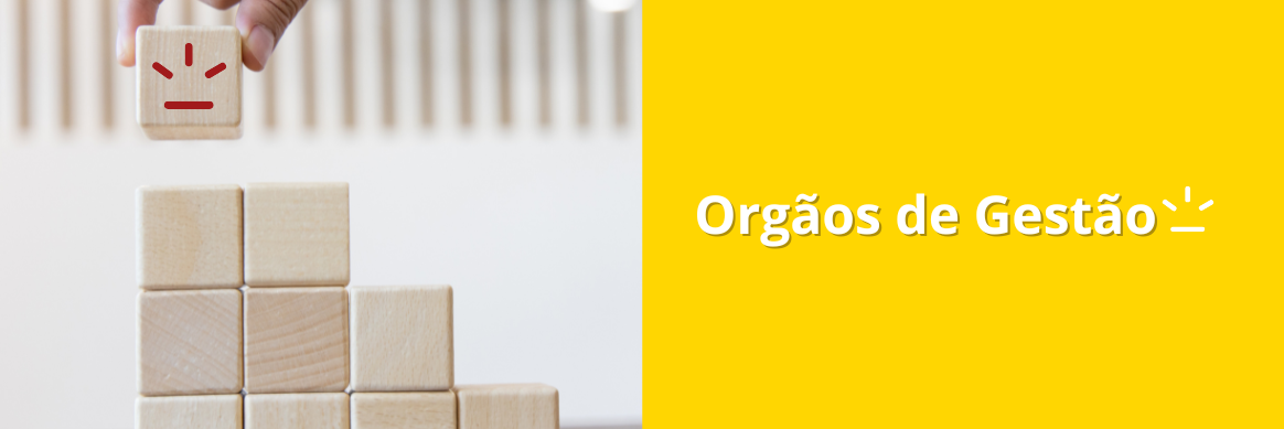 Orgãos gestão.png
