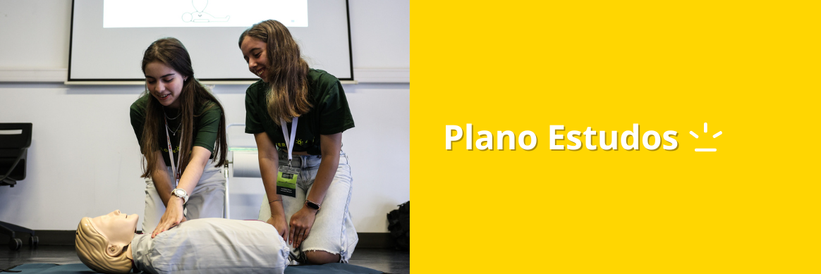 plano estudos.png
